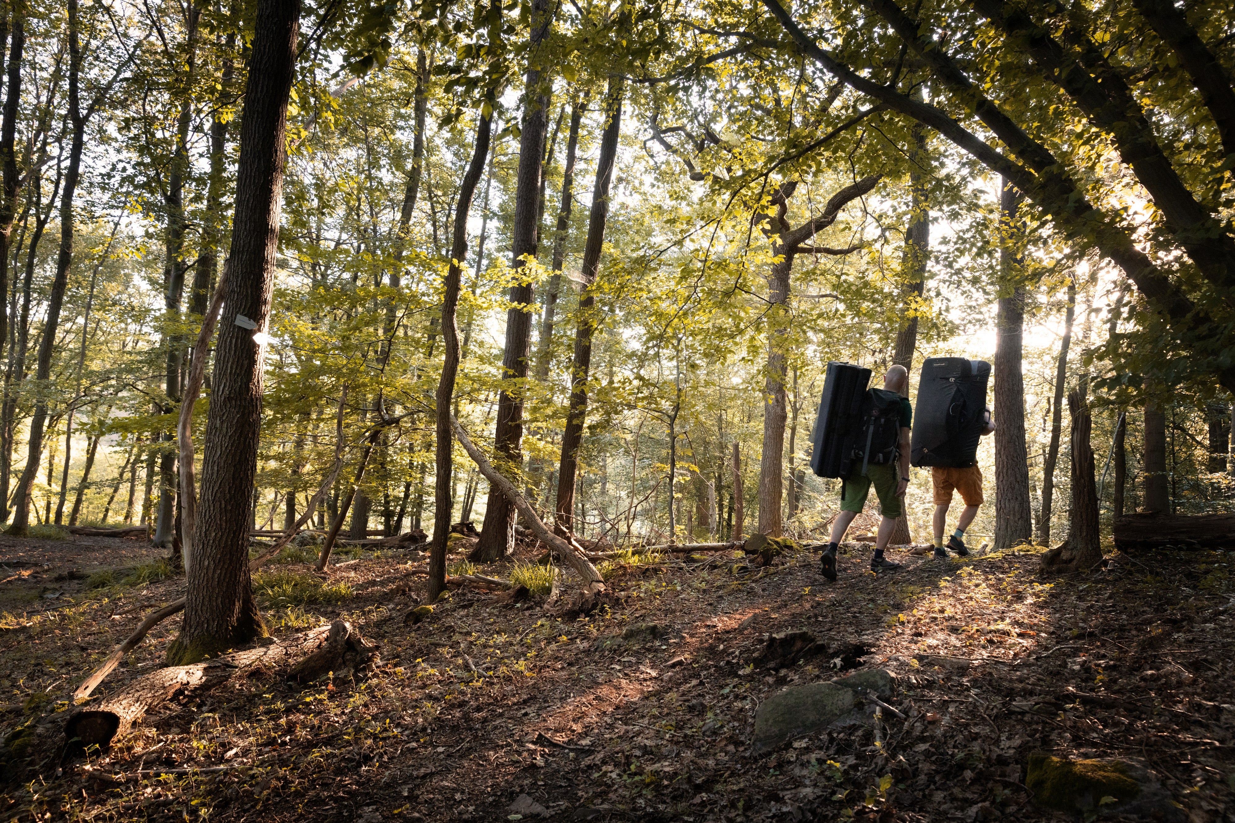 Approach to a bouldering area in Belgium