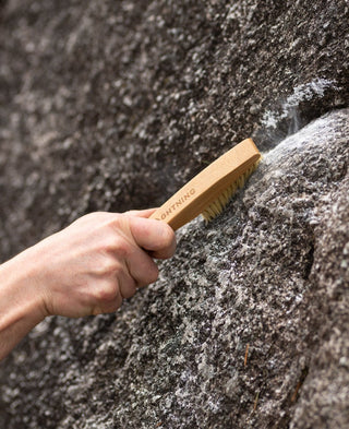 Load image into Gallery viewer, Vegan Eco-Brush, bouldering brush