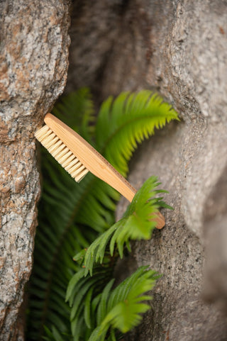 Load image into Gallery viewer, Vegan Eco-Brush, bouldering brush