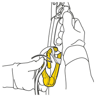 Load image into Gallery viewer, Rollclip A, pulley-carabiner